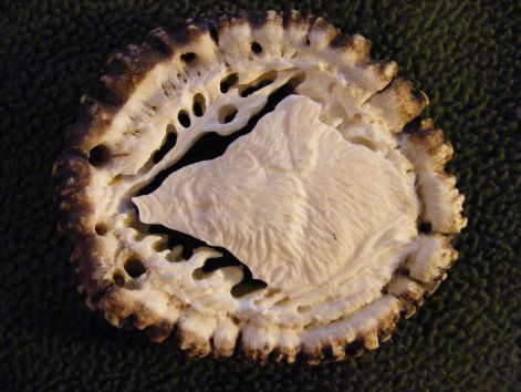 27._kep.jpg